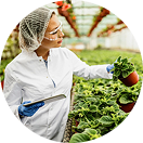 Food production
