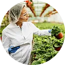 Food production